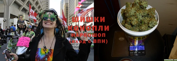 не бодяженный Бородино