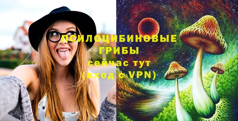 Псилоцибиновые грибы MAGIC MUSHROOMS Буй