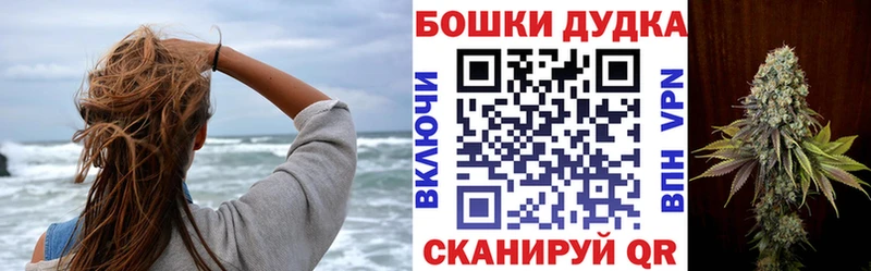 Конопля сатива  закладки  Буй 